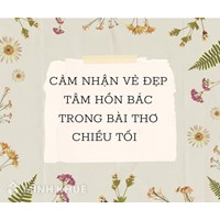 Cảm nhận vẻ đẹp tâm hồn Bác trong bài thơ Chiều tối chọn lọc hay nhất