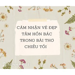 Cảm nhận vẻ đẹp tâm hồn Bác trong bài thơ Chiều tối chọn lọc hay nhất
