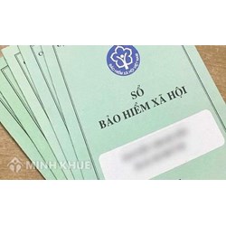 Số điện thoại, Địa chỉ Bảo hiểm xã hội quận Đống Đa, Hà Nội