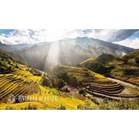 Dịch vụ Đăng ký bản quyền tại Yên Bái nhanh nhất