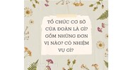 Tổ chức cơ sở của đoàn là gì? Nhiệm vụ và gồm những đơn vị nào?
