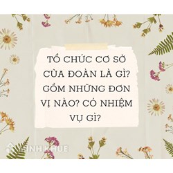 Tổ chức cơ sở của đoàn là gì? Nhiệm vụ và gồm những đơn vị nào?