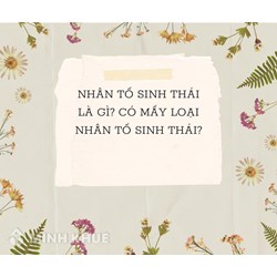 Nhân tố sinh thái là gì? Có mấy loại nhân tố sinh thái? Sinh học lớp 9