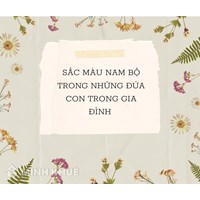 Sắc màu Nam Bộ trong Những đứa con trong gia đình hay nhất
