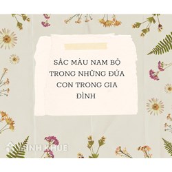 Sắc màu Nam Bộ trong Những đứa con trong gia đình hay nhất