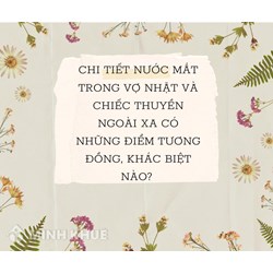 So sánh chi tiết nước mắt trong Vợ nhặt và Chiếc thuyền ngoài xa hay nhất