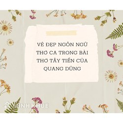 Vẻ đẹp ngôn ngữ thơ ca trong bài thơ Tây Tiến của Quang Dũng hay nhất