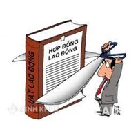 Mẫu thông báo chấm dứt hợp đồng kinh tế trước thời hạn mới