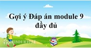Đáp án trắc nghiệm module 9 Tiểu học môn toán, môn tiếng việt
