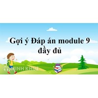 Đáp án trắc nghiệm module 9 Tiểu học môn toán, môn tiếng việt
