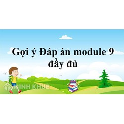 Đáp án trắc nghiệm module 9 Tiểu học môn toán, môn tiếng việt