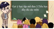 Gợi ý học tập mô đun 3 Tiểu học gồm tất cả các môn