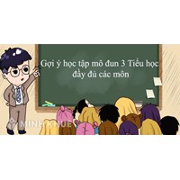 Gợi ý học tập mô đun 3 Tiểu học gồm tất cả các môn
