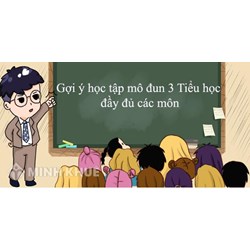 Gợi ý học tập mô đun 3 Tiểu học gồm tất cả các môn