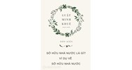 Sở hữu nhà nước là gì? Ví dụ về sở hữu nhà nước