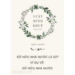 Sở hữu nhà nước là gì? Ví dụ về sở hữu nhà nước