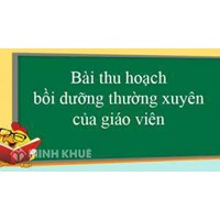 Bài thu hoạch bồi dưỡng thường xuyên Module GVPT 04