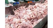 Thuế nhập khẩu thịt gà đông lạnh và sản phẩm gà đông lạnh mới
