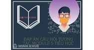Đáp án câu hỏi tương tác module 5 Tiểu học đầy đủ, chi tiết
