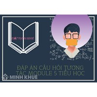 Đáp án câu hỏi tương tác module 5 Tiểu học đầy đủ, chi tiết