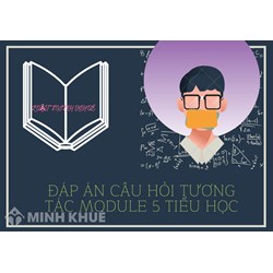 Đáp án câu hỏi tương tác module 5 Tiểu học đầy đủ, chi tiết