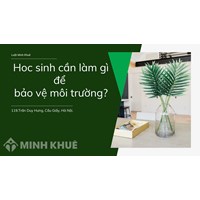 Là học sinh em sẽ làm gì để góp phần bảo vệ môi trường và tài nguyên thiên nhiên?