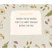 Phân tích nhân vật cụ Mết trong Rừng xà nu chọn lọc hay nhất