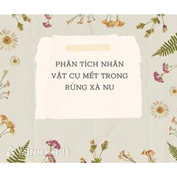 Phân tích nhân vật cụ Mết trong Rừng xà nu chọn lọc hay nhất