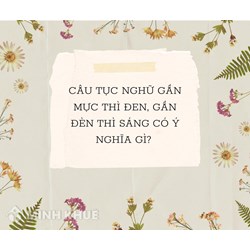 Giải thích câu tục ngữ Gần mực thì đen, gần đèn thì sáng hay nhất