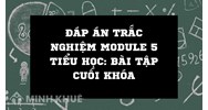 Đáp án trắc nghiệm module 5 Tiểu học: Bài tập cuối khóa