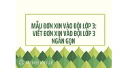 Mẫu đơn xin vào đội lớp 3: Viết đơn xin vào Đội lớp 3 ngắn gọn