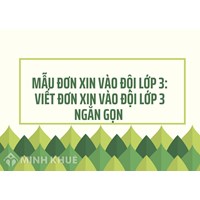 Mẫu đơn xin vào đội lớp 3: Viết đơn xin vào Đội lớp 3 ngắn gọn