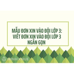 Mẫu đơn xin vào đội lớp 3: Viết đơn xin vào Đội lớp 3 ngắn gọn