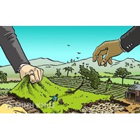 Các trường hợp không được chuyển mục đích sử dụng đất?