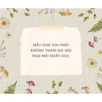 Mẫu đơn xin phép không tham gia hội trại mới nhất