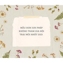 Mẫu đơn xin phép không tham gia hội trại mới nhất