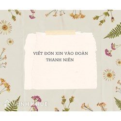 Hướng dẫn cách viết đơn xin vào Đoàn thanh niên mới nhất