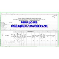 Biểu mẫu nghị định 11/2020/NĐ-CP file word, Excel mới nhất