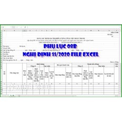 Biểu mẫu nghị định 11/2020/NĐ-CP file word, Excel mới nhất