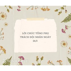 Lời chúc Tổng phụ trách Đội nhân ngày 26/3 hay nhất