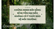 Chứng minh đời sống sẽ bị tổn hại nếu không có ý thức bảo vệ môi trường