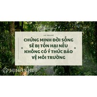 Chứng minh đời sống sẽ bị tổn hại nếu không có ý thức bảo vệ môi trường
