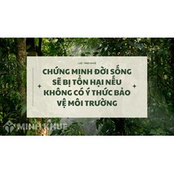 Chứng minh đời sống sẽ bị tổn hại nếu không có ý thức bảo vệ môi trường