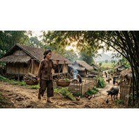 Tóm tắt tác phẩm Tắt đèn của Ngô Tất Tố chọn lọc hay nhất