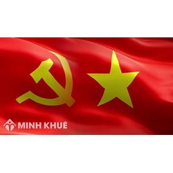 Chi bộ có đảng viên sinh con thứ 3 xếp loại gì?