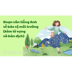 Đoạn văn tiếng Anh về bảo vệ môi trường (kèm từ vựng và bản dịch)