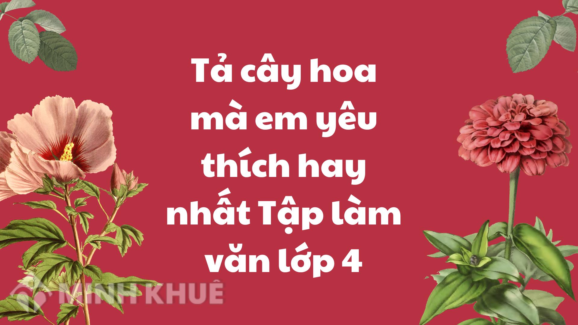 Tả cây hoa mà em yêu thích hay nhất Tập làm văn lớp 4