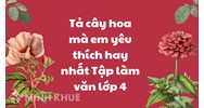 Tả cây hoa mà em yêu thích hay nhất Tập làm văn lớp 4