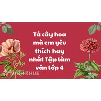 Tả cây hoa mà em yêu thích hay nhất Tập làm văn lớp 4