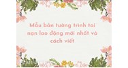 Mẫu bản tường trình tai nạn lao động mới nhất và cách viết